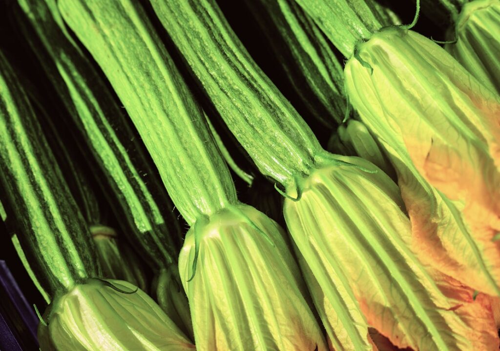 Zucchina
